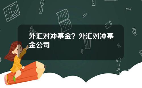 外汇对冲基金？外汇对冲基金公司
