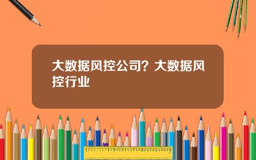 大数据风控公司？大数据风控行业