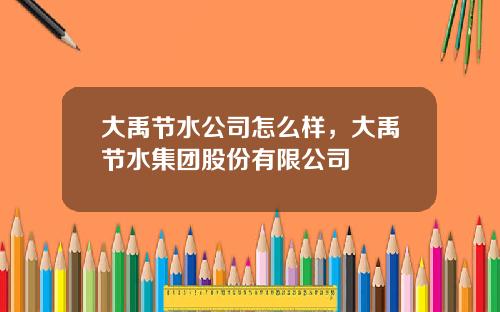 大禹节水公司怎么样，大禹节水集团股份有限公司