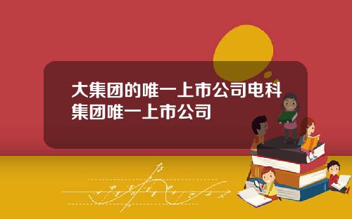 大集团的唯一上市公司电科集团唯一上市公司