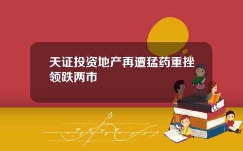 天证投资地产再遭猛药重挫领跌两市