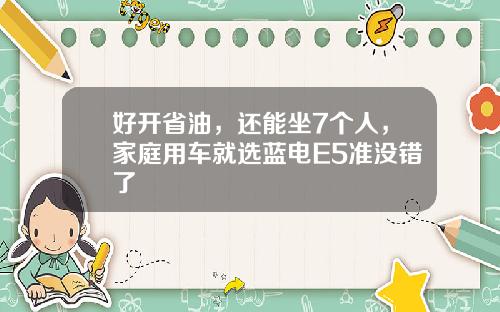 好开省油，还能坐7个人，家庭用车就选蓝电E5准没错了