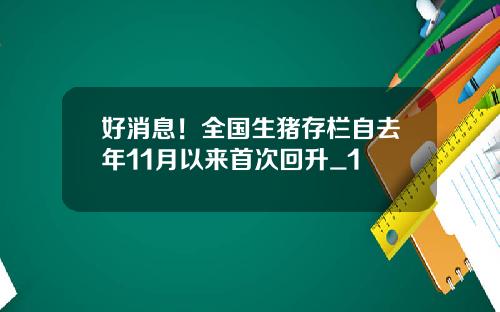 好消息！全国生猪存栏自去年11月以来首次回升_1