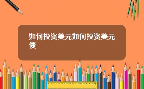 如何投资美元如何投资美元债