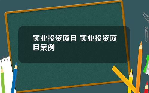 实业投资项目 实业投资项目案例