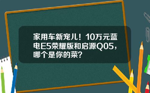 家用车新宠儿！10万元蓝电E5荣耀版和启源Q05，哪个是你的菜？
