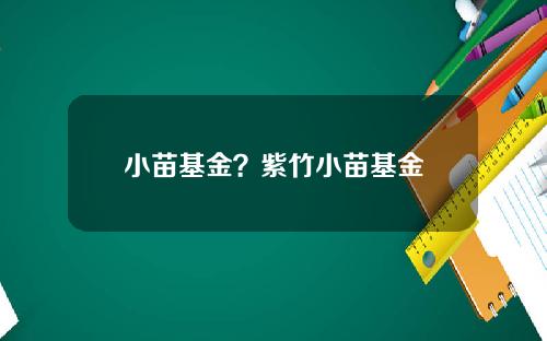 小苗基金？紫竹小苗基金