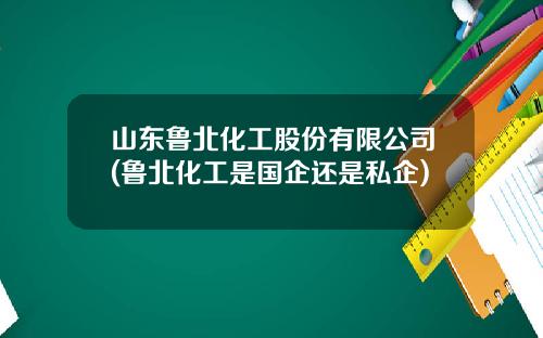 山东鲁北化工股份有限公司(鲁北化工是国企还是私企)