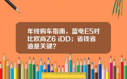 年终购车指南，蓝电E5对比欧尚Z6 iDD；省钱省油是关键？