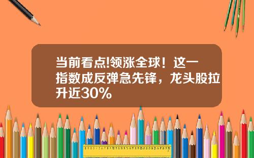 当前看点!领涨全球！这一指数成反弹急先锋，龙头股拉升近30%