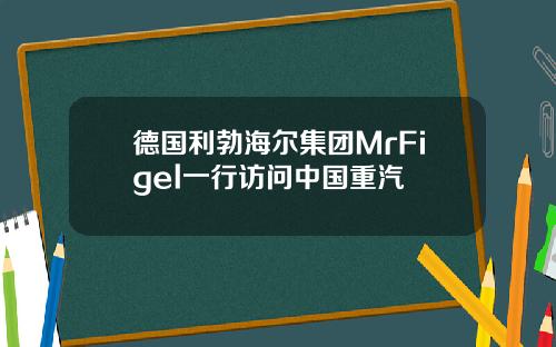 德国利勃海尔集团MrFigel一行访问中国重汽