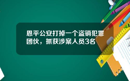 恩平公安打掉一个盗销犯罪团伙，抓获涉案人员3名