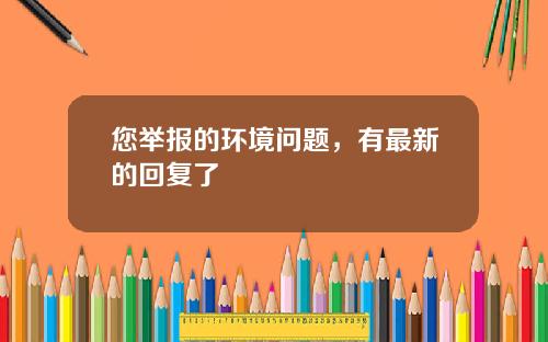 您举报的环境问题，有最新的回复了