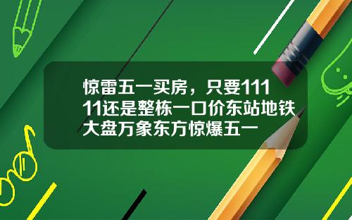惊雷五一买房，只要11111还是整栋一口价东站地铁大盘万象东方惊爆五一