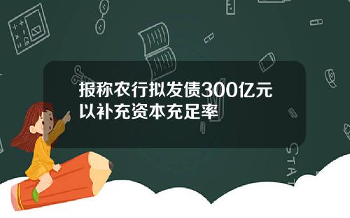 报称农行拟发债300亿元以补充资本充足率