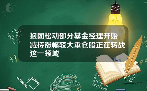 抱团松动部分基金经理开始减持涨幅较大重仓股正在转战这一领域