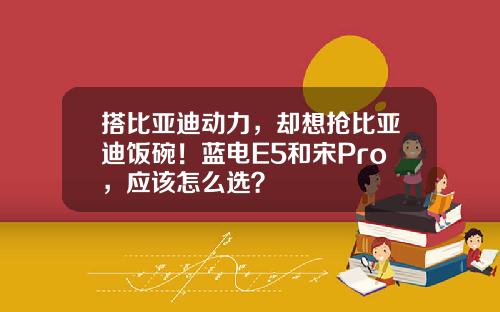 搭比亚迪动力，却想抢比亚迪饭碗！蓝电E5和宋Pro，应该怎么选？
