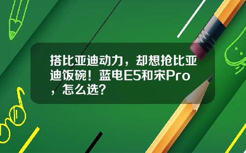 搭比亚迪动力，却想抢比亚迪饭碗！蓝电E5和宋Pro，怎么选？