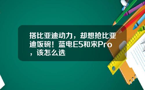 搭比亚迪动力，却想抢比亚迪饭碗！蓝电E5和宋Pro，该怎么选