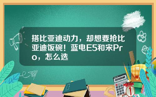 搭比亚迪动力，却想要抢比亚迪饭碗！蓝电E5和宋Pro，怎么选