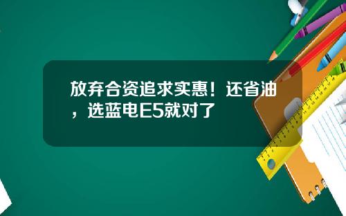 放弃合资追求实惠！还省油，选蓝电E5就对了