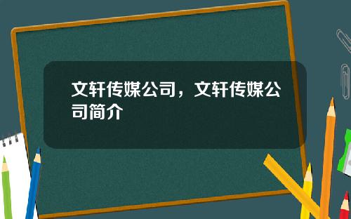 文轩传媒公司，文轩传媒公司简介