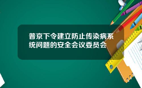 普京下令建立防止传染病系统问题的安全会议委员会