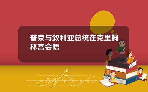 普京与叙利亚总统在克里姆林宫会晤