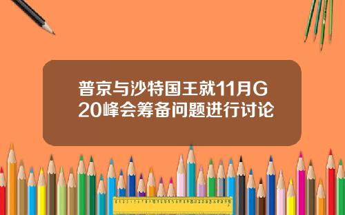 普京与沙特国王就11月G20峰会筹备问题进行讨论