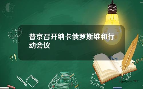 普京召开纳卡俄罗斯维和行动会议
