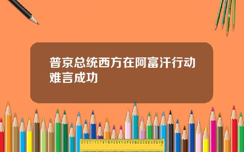 普京总统西方在阿富汗行动难言成功