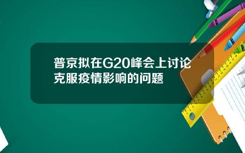 普京拟在G20峰会上讨论克服疫情影响的问题