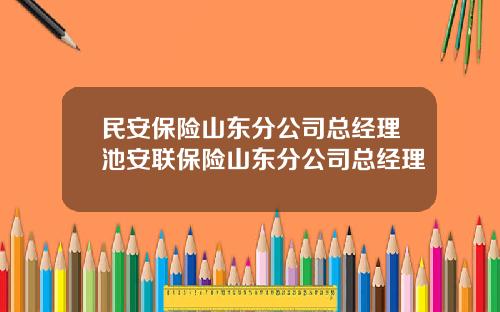 民安保险山东分公司总经理池安联保险山东分公司总经理