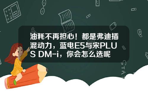 油耗不再担心！都是弗迪插混动力，蓝电E5与宋PLUS DM-i，你会怎么选呢