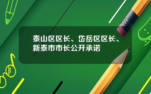 泰山区区长、岱岳区区长、新泰市市长公开承诺