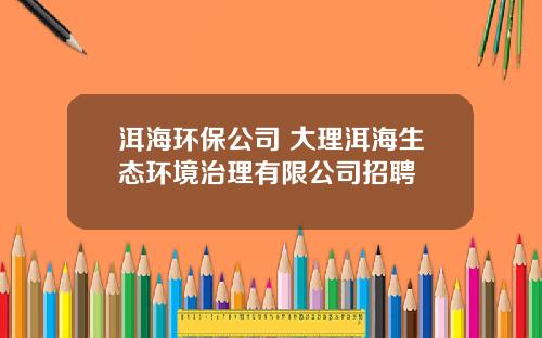 洱海环保公司 大理洱海生态环境治理有限公司招聘