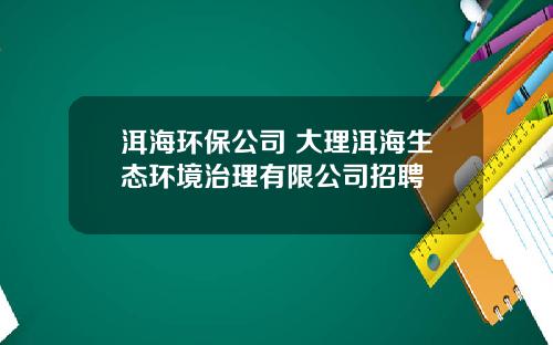 洱海环保公司 大理洱海生态环境治理有限公司招聘