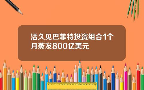 活久见巴菲特投资组合1个月蒸发800亿美元