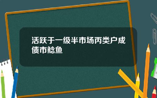 活跃于一级半市场丙类户成债市鲶鱼