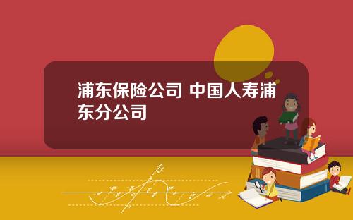 浦东保险公司 中国人寿浦东分公司