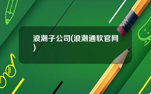 浪潮子公司(浪潮通软官网)