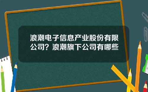 浪潮电子信息产业股份有限公司？浪潮旗下公司有哪些