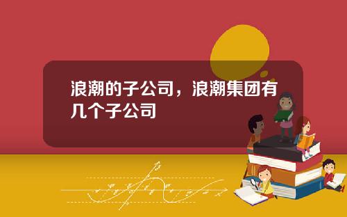 浪潮的子公司，浪潮集团有几个子公司
