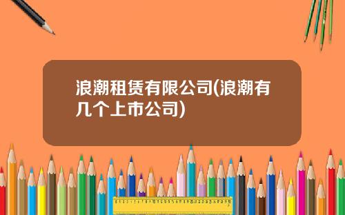 浪潮租赁有限公司(浪潮有几个上市公司)