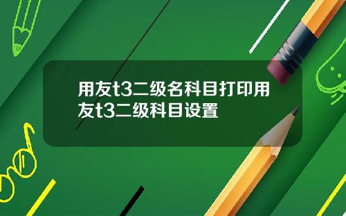 用友t3二级名科目打印用友t3二级科目设置