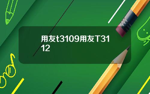 用友t3109用友T3112
