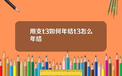 用支t3如何年结t3怎么年结