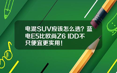 电混SUV应该怎么选？蓝电E5比欧尚Z6 IDD不只便宜更实用！