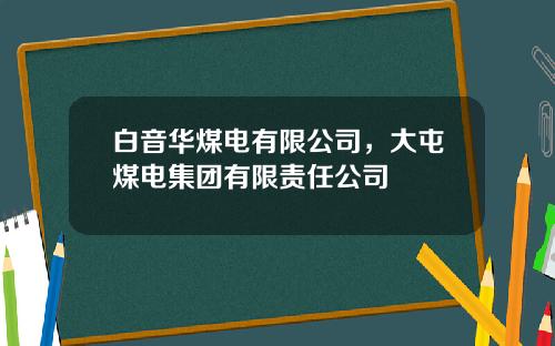 白音华煤电有限公司，大屯煤电集团有限责任公司