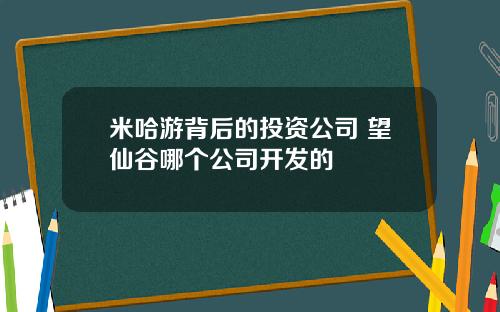 米哈游背后的投资公司 望仙谷哪个公司开发的